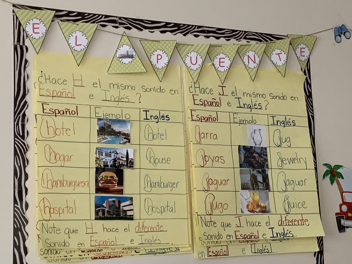 Holly Shum tweet media