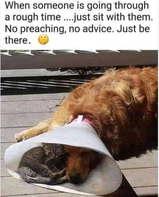 This is great advice! 🙌