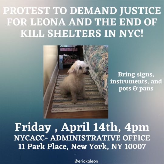 Erickaleonnn's tweet photo. Tomorrow! #JUSTICEFORLEONA #NYCACC https://t.co/eZhfIpbs6M