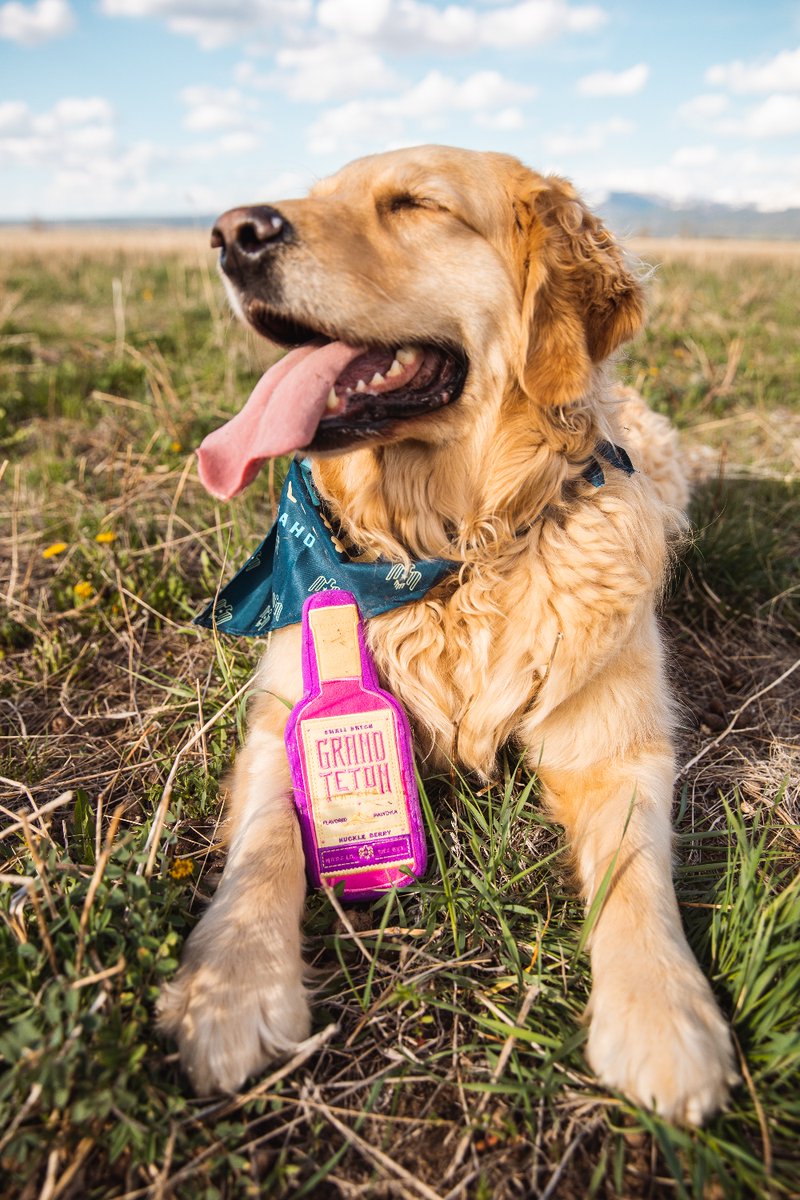 Grand Teton Pawdka, squeak to your heart's content!

ow.ly/qZp250NIG9K