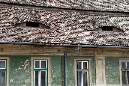 Dr. Uğur Eroğul tweet media