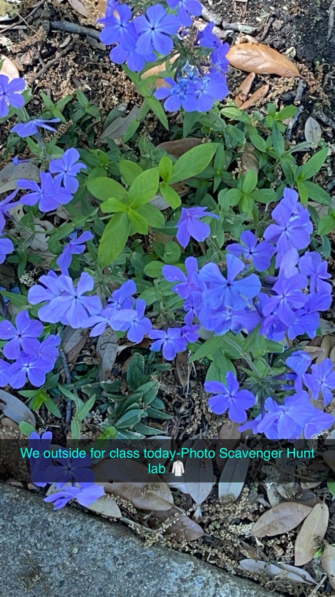 AkUtEpHaCe08's tweet image. There’s nothing better than spending time with nature #Bioworld