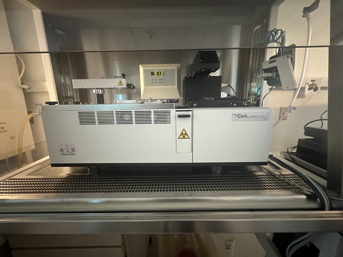 DeSci_Mike's tweet image. Ready to explore the CellCelector™ Flex System's capabilities in cellular research?!

A 🧵 about our labs' hands-on experience 👇

(1/11)