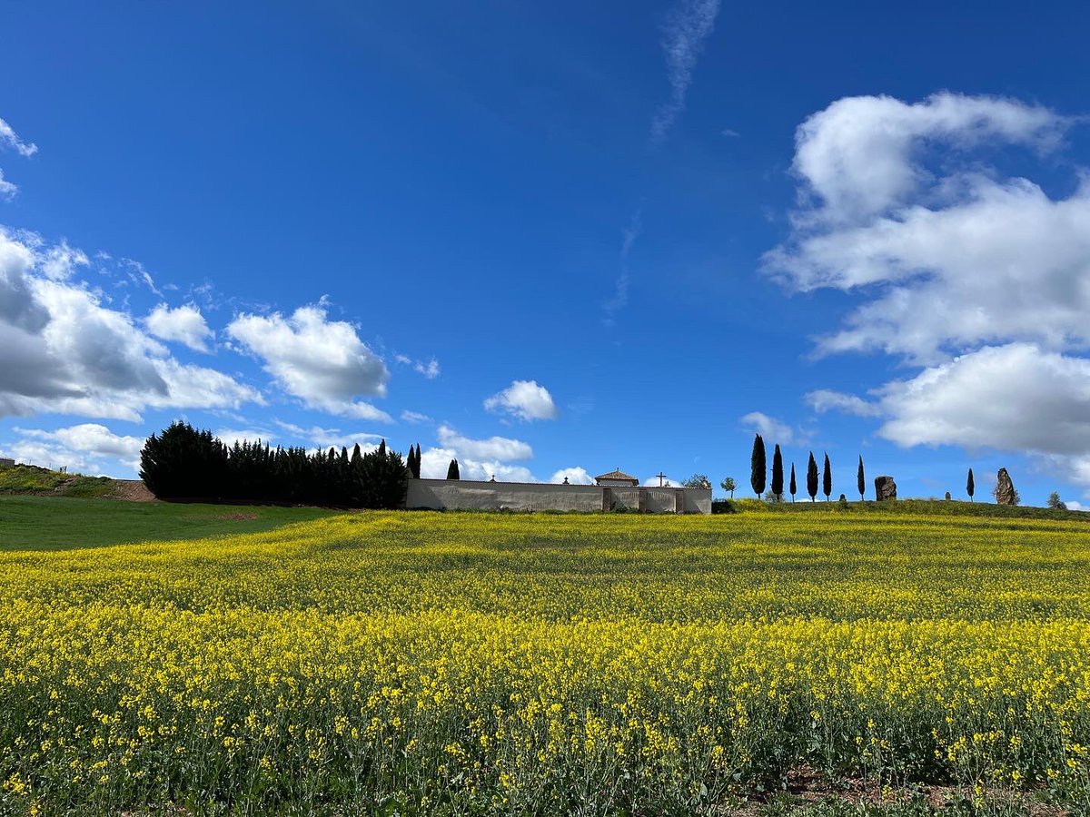 Pilgerurlaub's tweet photo. Von Puente la Reina nach Estella - perfekte Jahreszeit für diese Gegend! #caminofrances #caminodesantiago https://t.co/IYsSLSQfoo