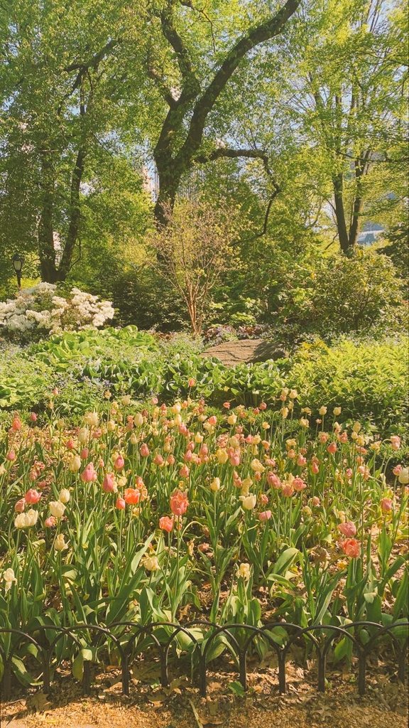 Lost_prxncess94's tweet photo. It is still spring, albeit tiny chills manage to graze my skin. Now and then, I hide in the forest to detox myself from chaos of town or my own self. Nature is the best escapade for me, for life.
Would you like to join?
_💚
#welcomingspring
#nature_in_spring https://t.co/2fryt9OWrk