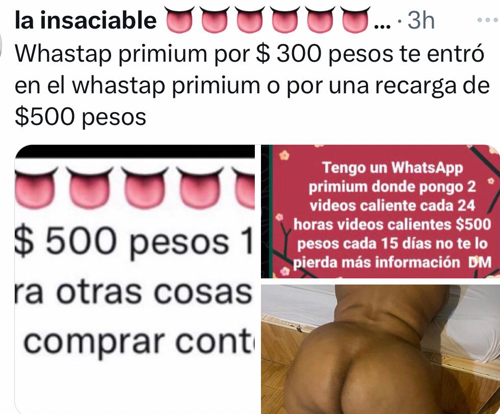 la fashion.y.punto (@carolinafamili) on Twitter photo 