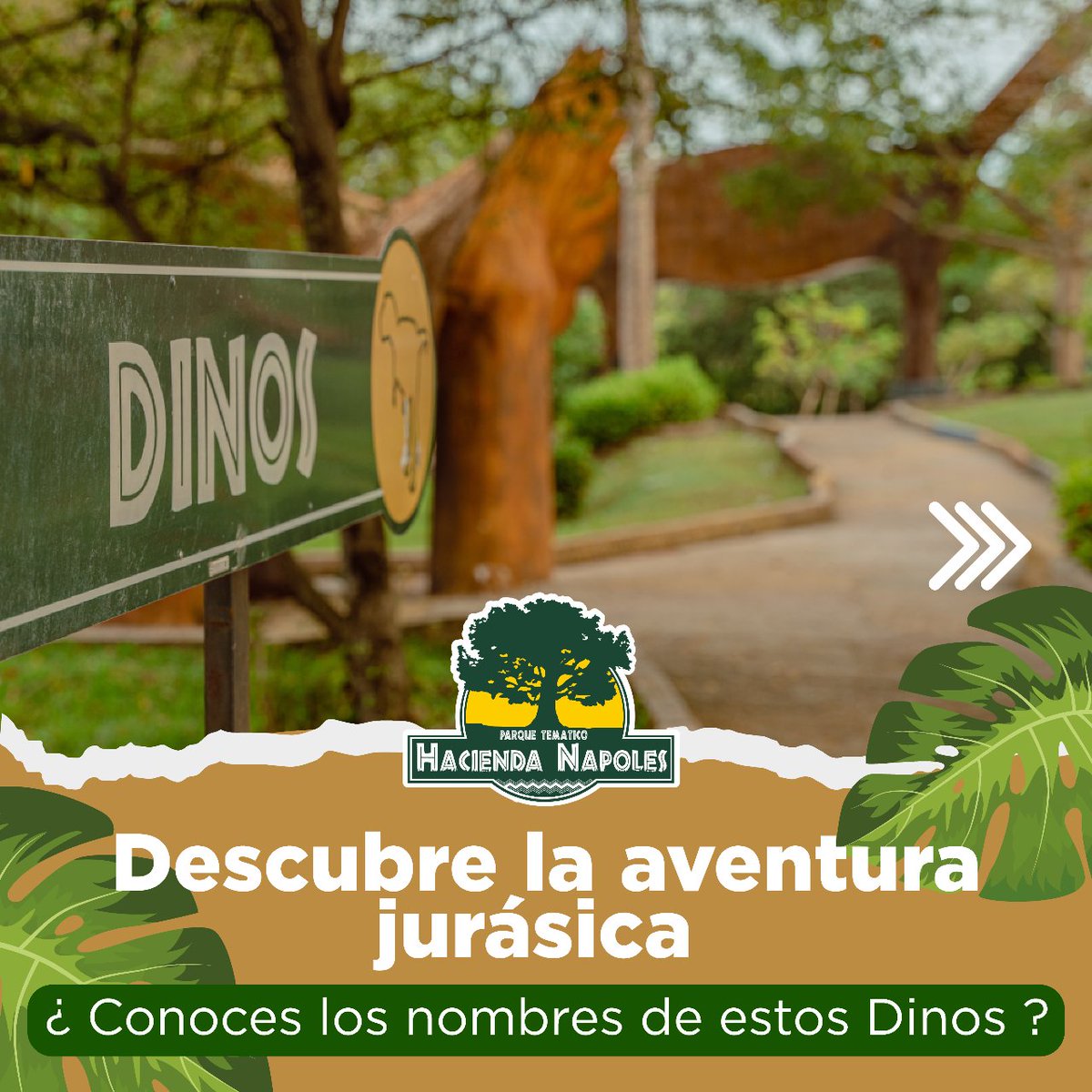 PTHDANAPOLES's tweet photo. Estamos seguros que esta atracción es un gran atractivo para los amantes de los dinosaurios. 
¿Conoces sus nombres?🦖
 
¡Recorre la aventura jurásica y asómbrate con sus tamaños!
#haciendanapoles #mundojurasico https://t.co/i3AgGSarGv