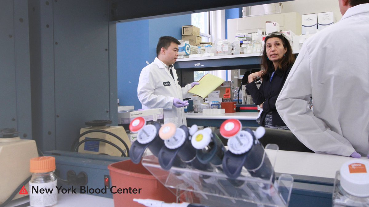 For more than 50 years #NYBC has been a health care resource. Our team of medical professionals provide consultation in technical, medical, and research areas for our patients and communities. Learn more here -> smarturl.it/MEDCONSUL2TWT