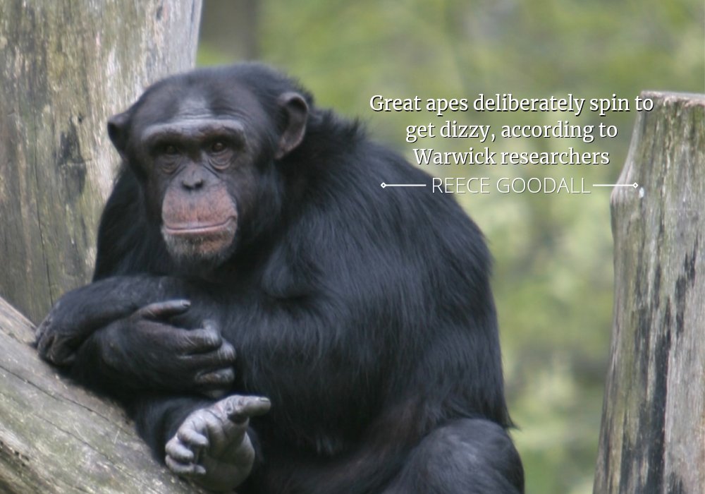 Boar SciTech tweet media