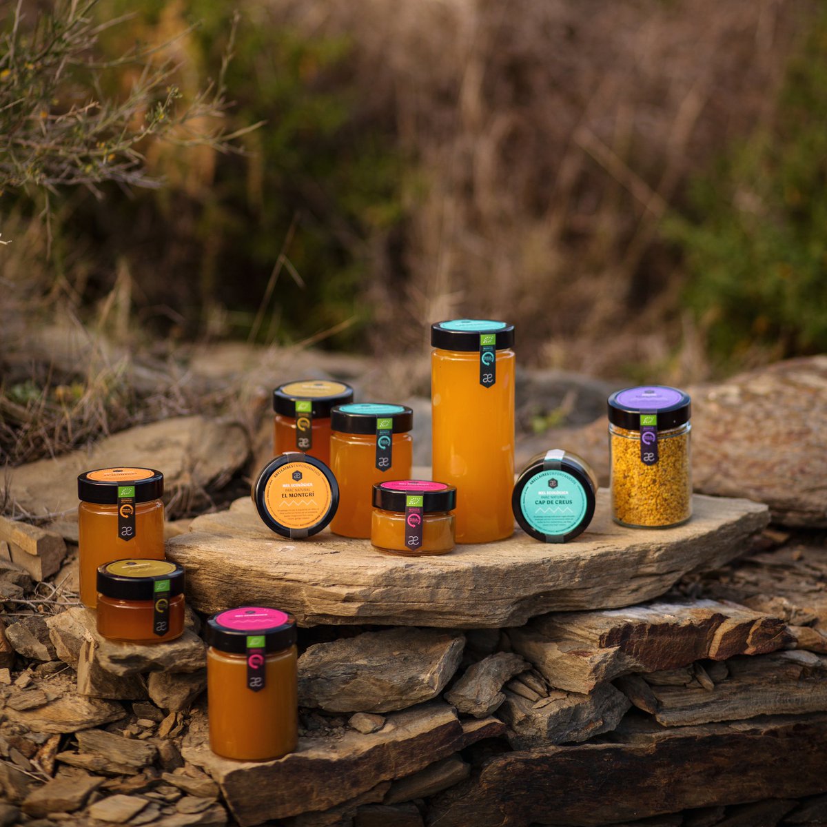 Senyor Estudi tweet media