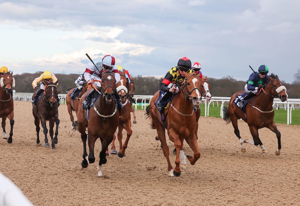BryanSmartRacin's tweet photo. ⭐️WINNER⭐️
Blazing Son sticks his neck out to win in fine style at Newcastle under a good front running ride by Mark Winn. Delighted for our lovely syndicate the Smart Emblaze Partnership!
#TeamSmart
#Winner
#WinnersfeedGAIN
#NSbits
#Flyingon4CYTE https://t.co/uYrapRFXlQ