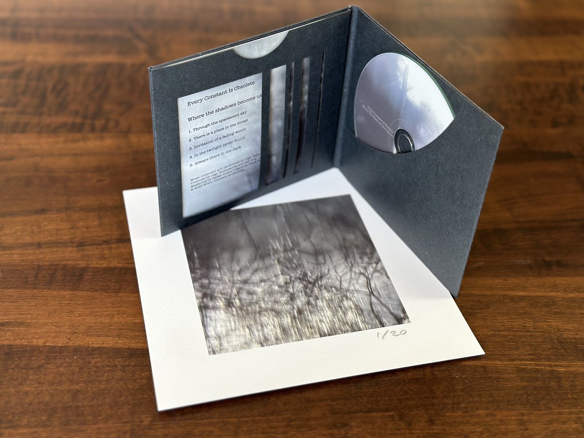 EveryConstant's tweet image. "Where the shadows become us" is now available on limited  edition cassette and CD. Both formats include an original art print. everyconstantisobsolete.bandcamp.com/album/where-th…