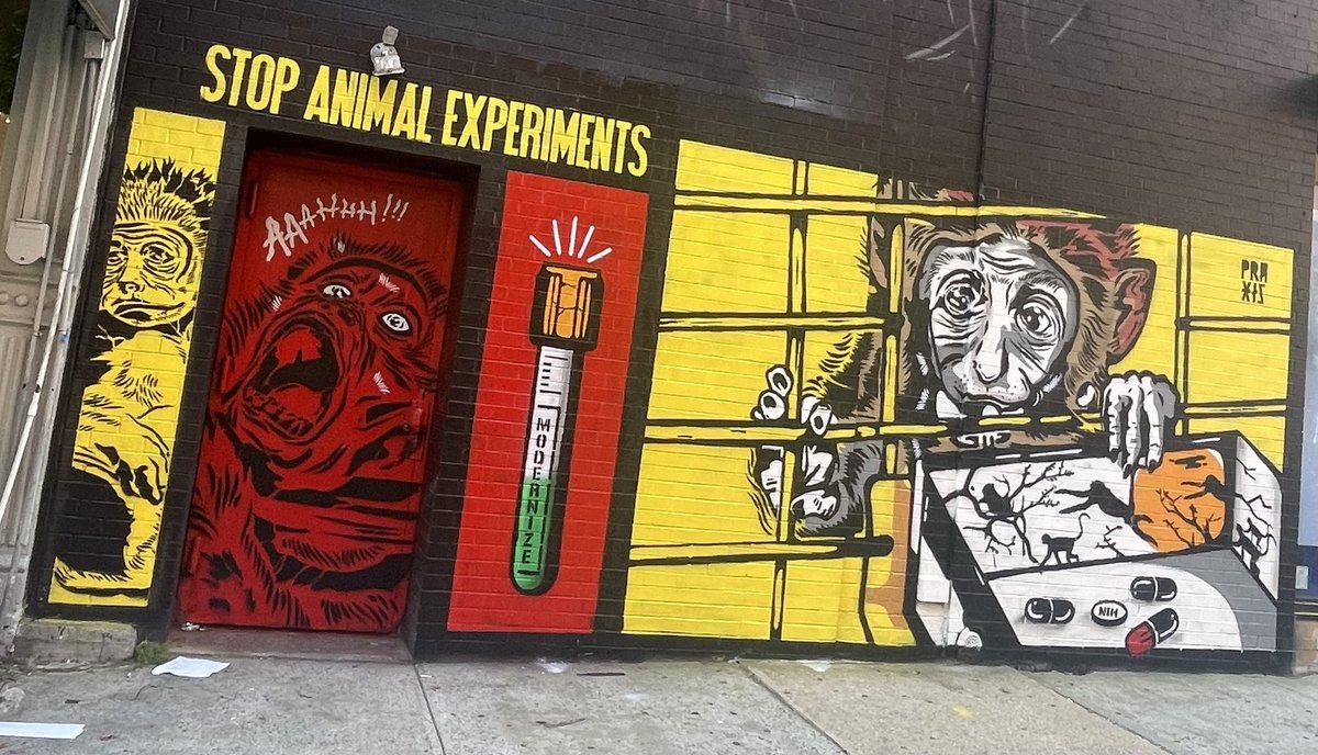 CuervoLVK's tweet image. Muralako by @PraxisVgz 
#StopAnimalExperiments 🙊