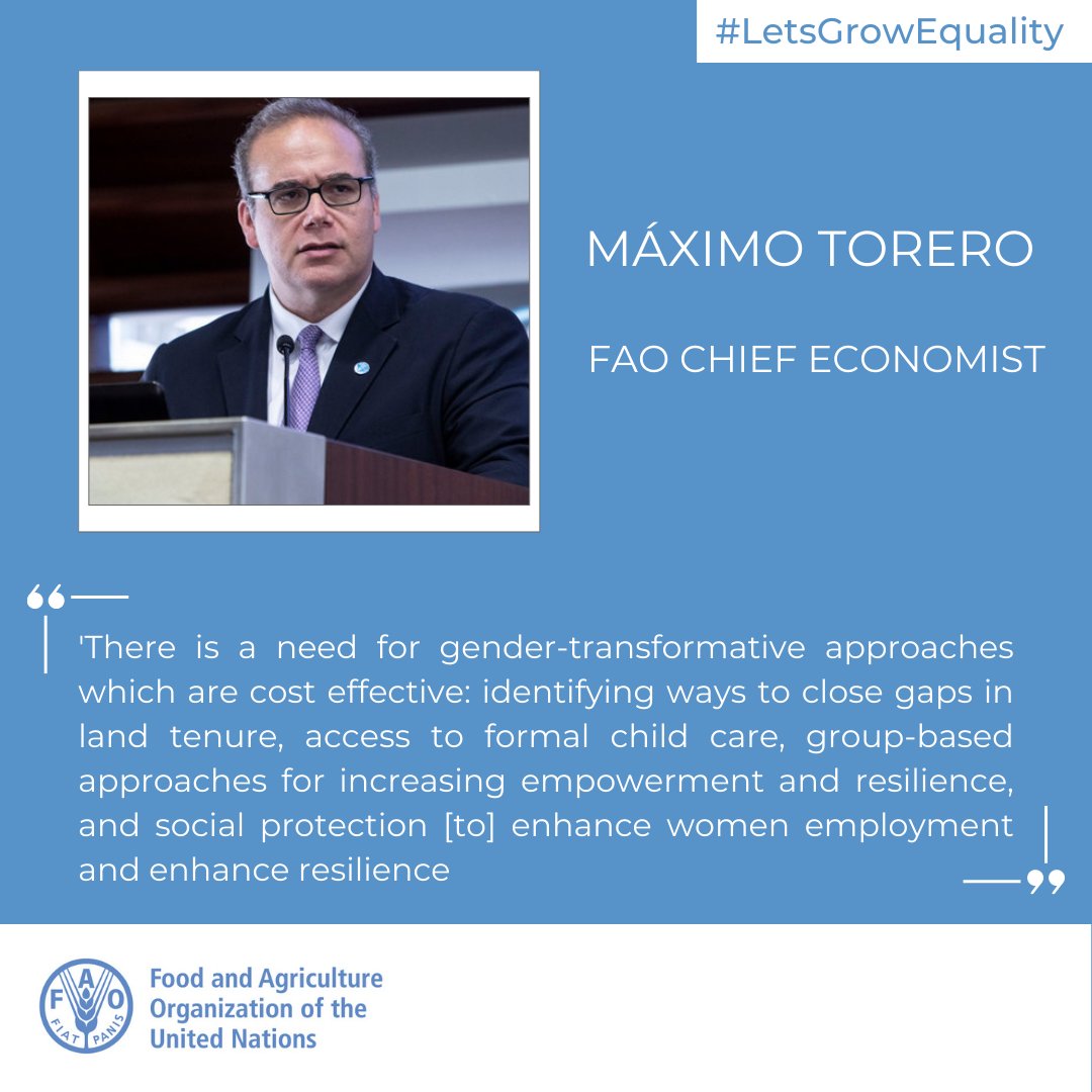 FAO in New York tweet media