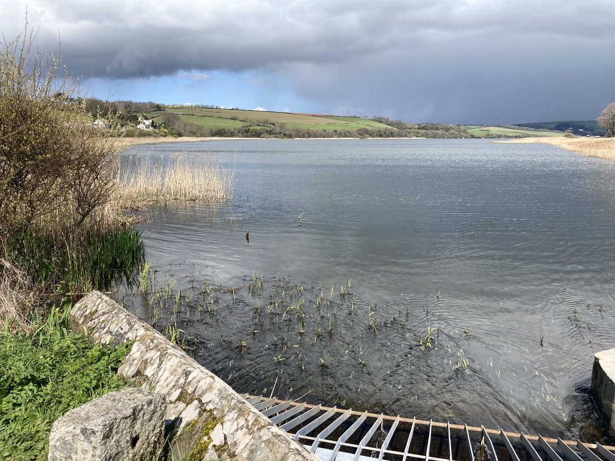 Steve Rowett tweet media