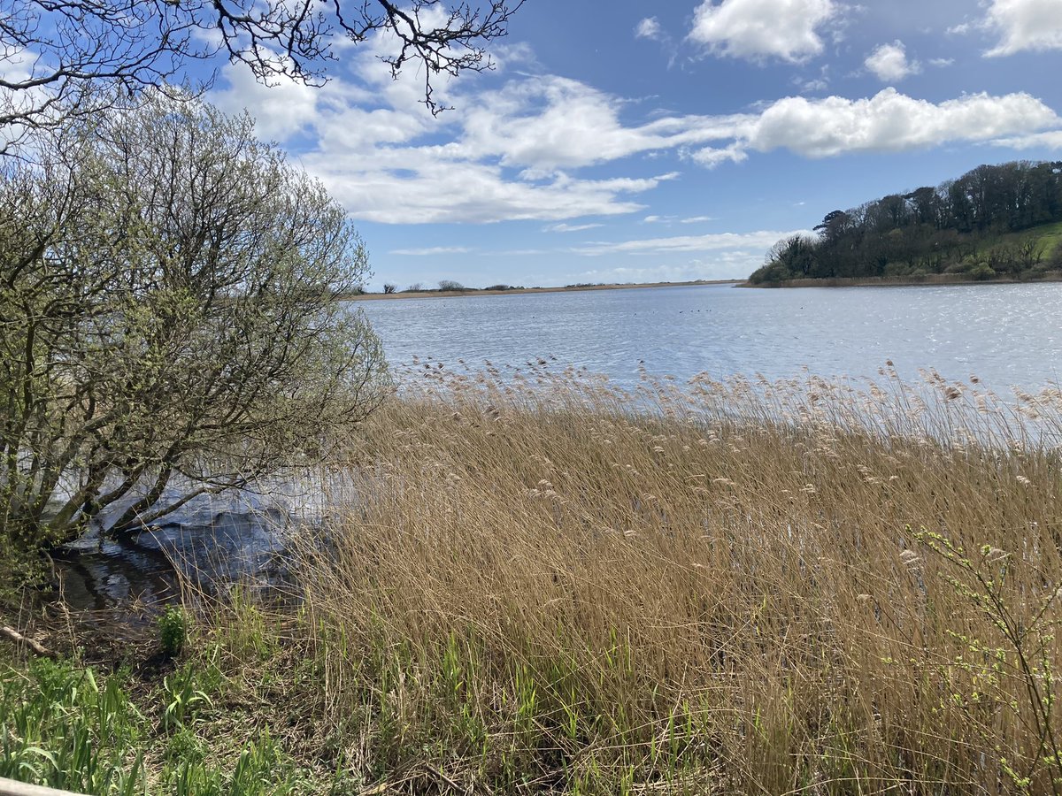 Steve Rowett tweet media