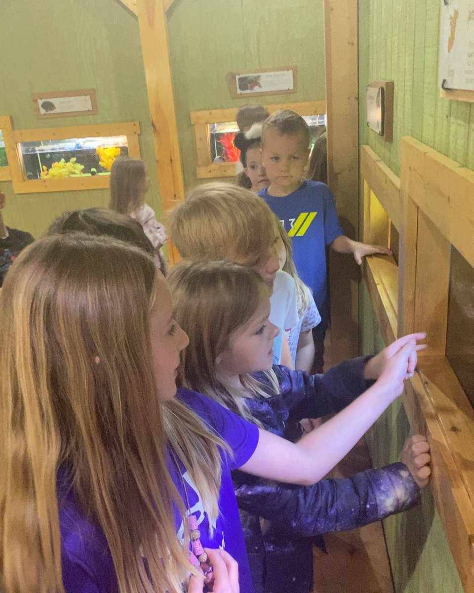 mrspruittfirst's tweet image. We had a blast at the WNC Nature Center! @MillsRiverSch