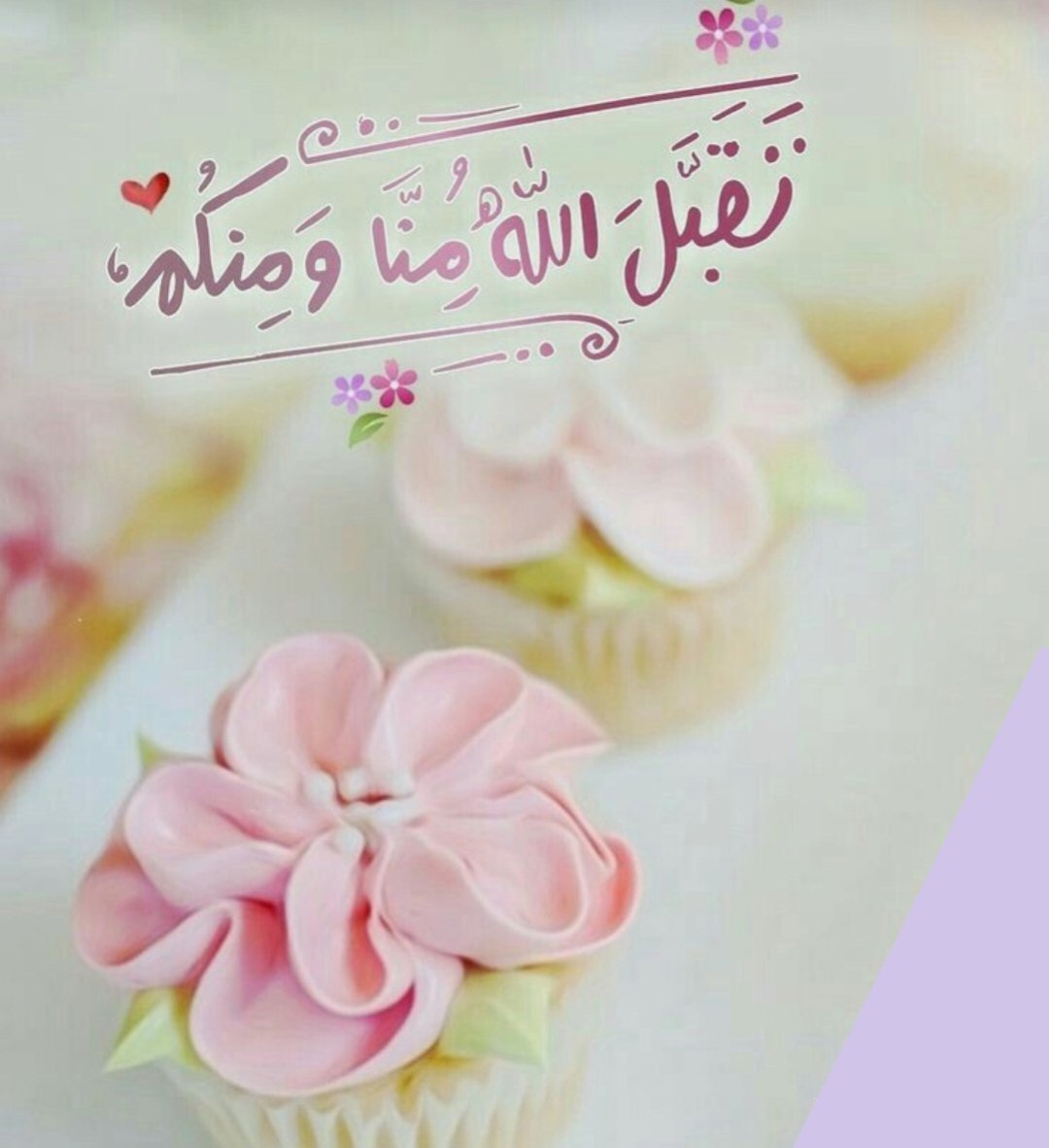 🌸🪻🌸#قروبات_البابلي_للاضافات
🪻🌸🪻#قروبات_البابلي_للاضافات
🌸🪻🌸#قروبات_البابلي_للاضافات
🪻🌸🪻#قروبات_البابلي_للاضافات
🌸🪻🌸#قروبات_البابلي_للاضافات
#مساء_الورد  🪻🌸🪻
