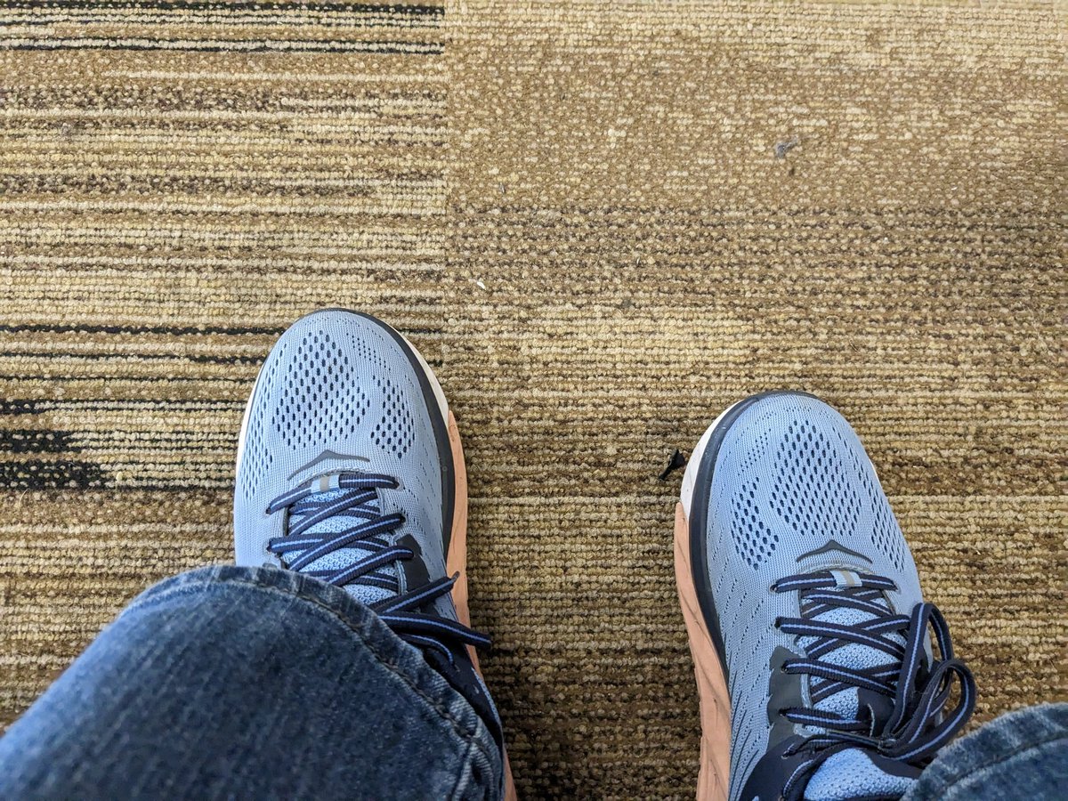 Wild Spirit Traveler tweet media