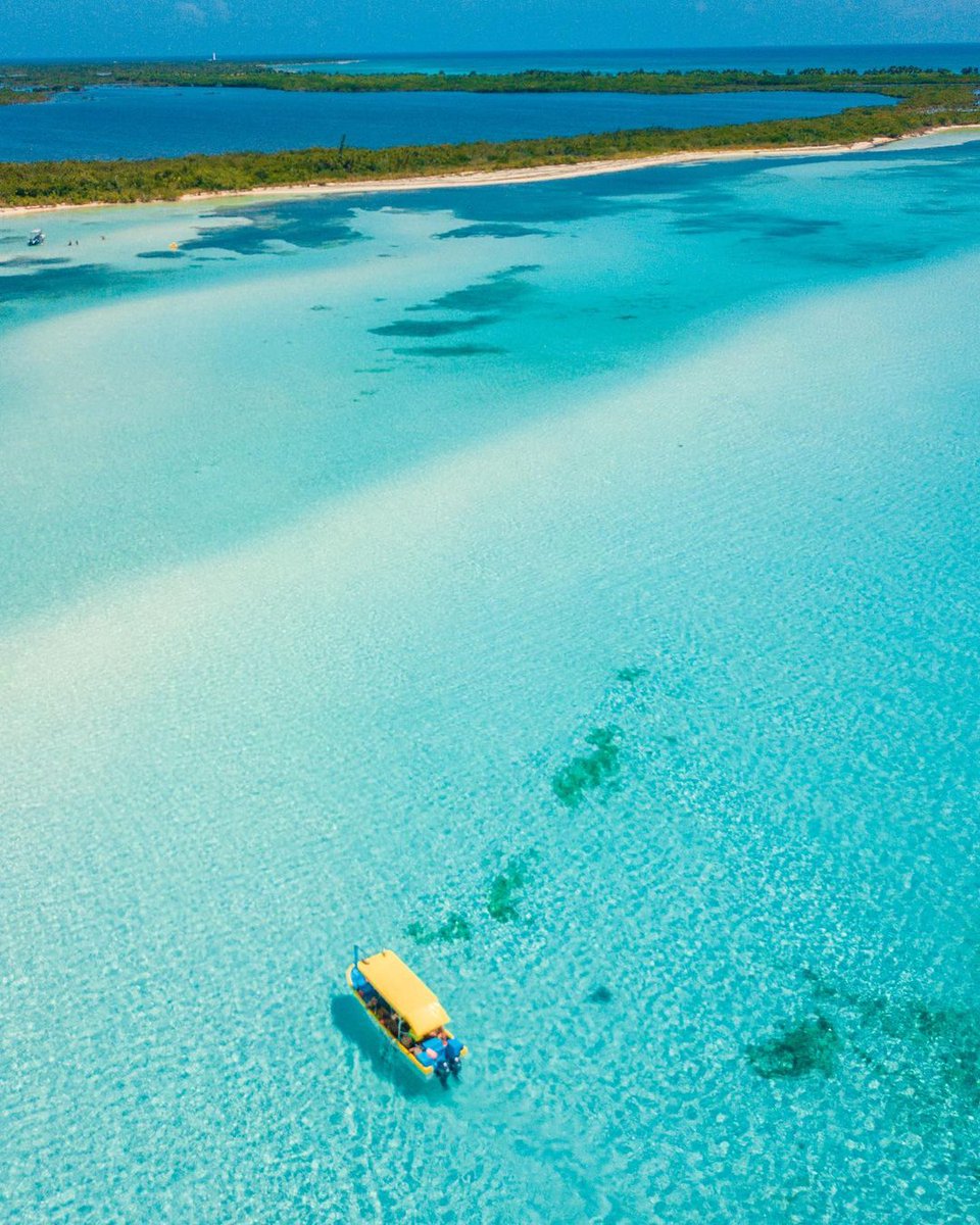VisitCozumel's tweet photo. ¿Has escuchado acerca de un lugar llamado El Cielo, en #Cozumel? ☁️📍

Como salido de un sueño, este paraíso azul te espera para que convivas armónicamente con la naturaleza. 💧🐠🤿

Hoy te contamos cómo puedes ayudarnos a cuidarlo. Abrimos hilo 👇

📸: pedromestres vía IG https://t.co/2vsDNrmOrf