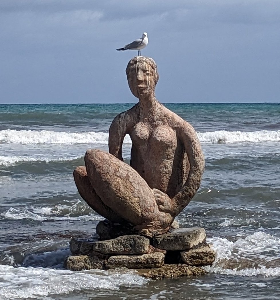 Alison Rogers #FRSA tweet media