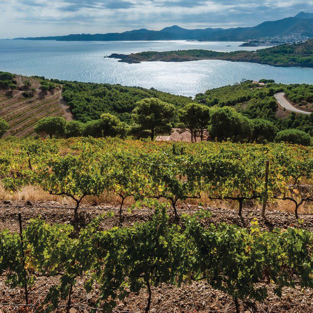 De Cantallops à Gratallops... Quand tu travailles sur la carto de l'Alt Emporda et que, soudain, tu te rends compte qu'il y a 68 484 hectares de vignes en Catalogne, sur 215 000 parcelles...

Vous les voyez ces taches rouges dans le relief ? Ce sont elles.

📷Vinyes dels Aspres