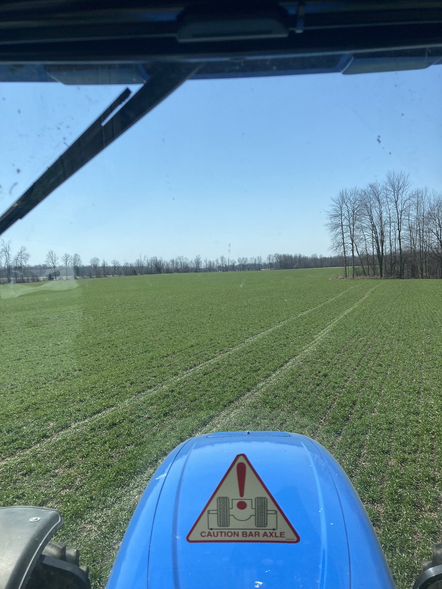 MarkCarkner's tweet photo. Fall rye planted October 3-4 getting fed for the season @islandviewag! Planted no-till into bean stubble with the 8300 John Deere drill https://t.co/GkIwH1VXoB