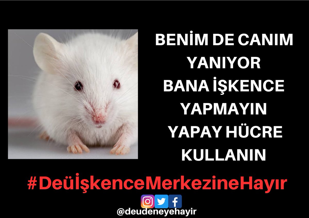 Dokuz Eylül Üniversitesini bu deney merkezi kararından vazgeçmeye çağırıyoruz. 

Yaşamdan ve bilimden yana olmak sizi eksiltmez, aksine yüceltir. 

Aksi halde tarihe işkenceci bir üniversite ve işkenceci bir rektör olarak kazınacaksınız! <a href="/universitemDEU/">Dokuz Eylül Üniversitesi</a>

#DeüİşkenceMerkezineHayır