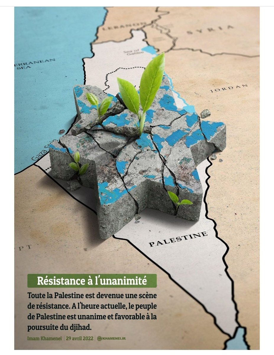 Haura135's tweet photo. Toute LA Palestine est devenue une scène de résistance. À l'heure actuelle, le peuple de Palestine est unanime et favorable à la poursuite du djihad. 
#FreePalestine 
#QudsDay https://t.co/XGGNKLuJsP