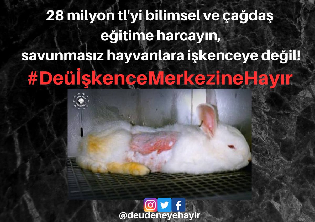 28 milyonu bilimsel ve çağdaş eğitime kullanın, savunmasız hayvanlara işkenceye değil! #DeüİşkenceMerkezineHayır <a href="/universitemDEU/">Dokuz Eylül Üniversitesi</a> <a href="/hotar_nukhet/">Prof. Dr. Nükhet Hotar</a>