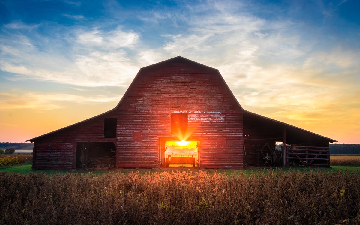 JordanHillPhoto's tweet photo. All prints and canvases in my Etsy store are 15% off. Free Shipping!!! No code is needed. 🙂https://t.co/DQUX6XWBM6
#etsyshop #etsysale #etsydiscount #Discounted #FreeShipping #oderonline #onlineshopping #wallart #homedecor #farmhouse #country #farming #farmers #AYearForArt https://t.co/zSR4hob6I6