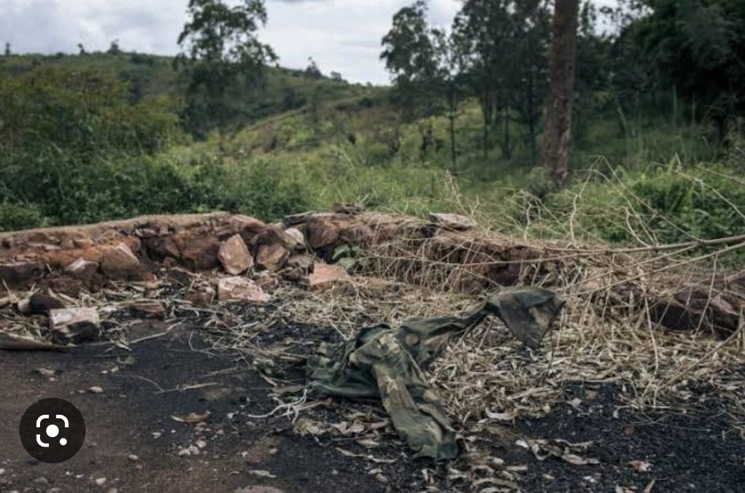 #RDC dans le village de kishishe situé au milieu des collines du Nord-kivu, plus de 170 civils ont été tués en novembre 2022, selon l'#ONU. Chose impressionnantes des cadavres et des fosses communes viennent d'être découverts.
<a href="/PatrickMuyaya/">Patrick Muyaya</a> <a href="/Com_mediasRDC/">Ministère de la Communication et Médias/RDC</a>  <a href="/MandikoTv/">Mandiko tv</a>
