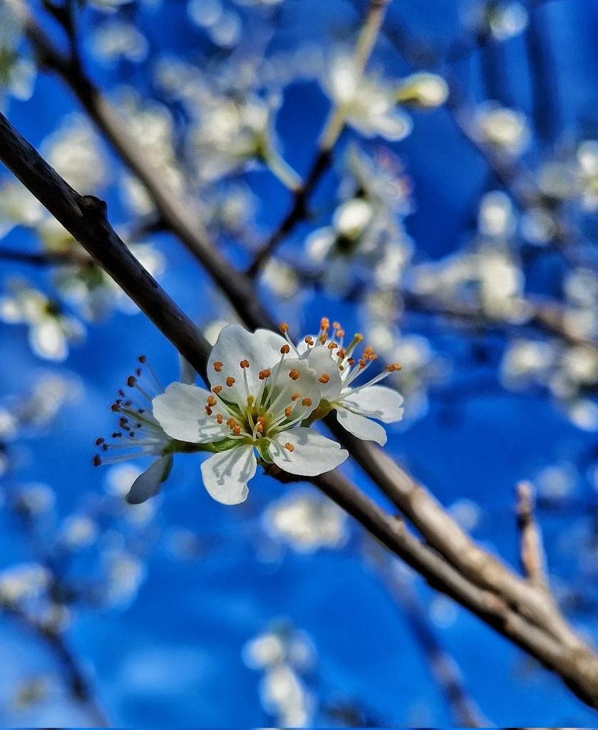 ๐ฟ๐ข ๐๐๐ ๐๐๐ ๐ค..โป*๐ tweet media