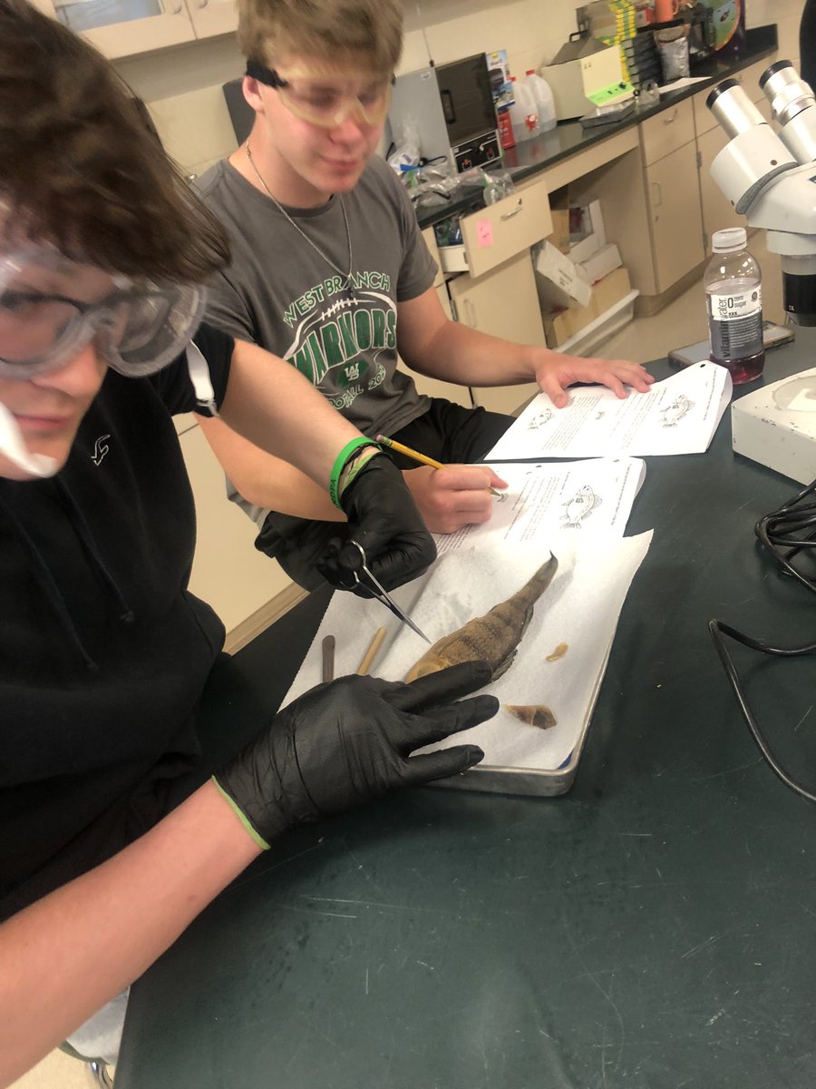 biomarineAPBio's tweet photo. Perch Lab https://t.co/KDB87ZOCNR