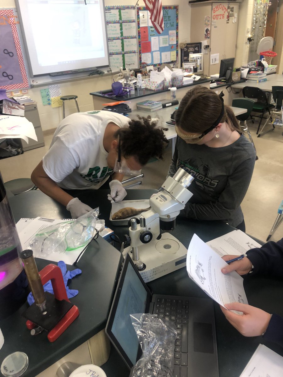 biomarineAPBio's tweet photo. Perch Lab https://t.co/KDB87ZOCNR