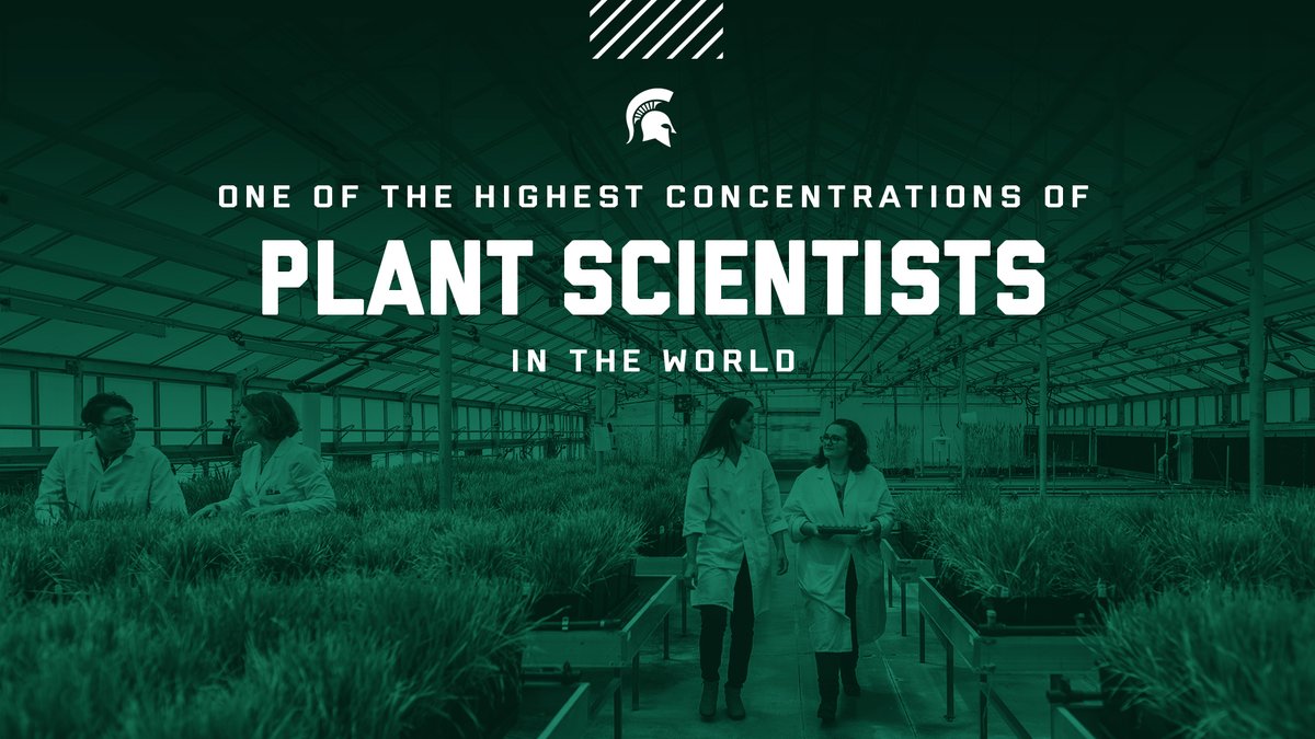 michiganstateu's tweet photo. Go Green. https://t.co/dapGV9Gc2n