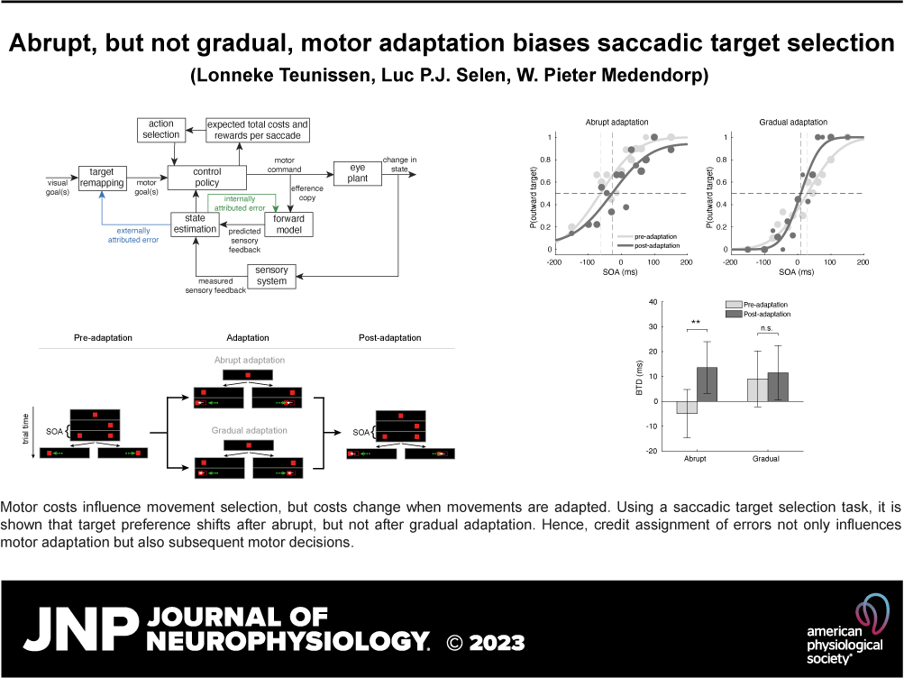JNeurophysiol's tweet image. ➡Abrupt, but not gradual, motor adaptation biases saccadic target selection by W. Pieter Medendor(@pmedendorp) et al.

➡ ow.ly/JU7j50NwsnE

#SaccadicAdaptation #DecisionMaking #TargetSelection #TargetRemapping #ControlPolicy #Neuroscience #JNeurophysiol