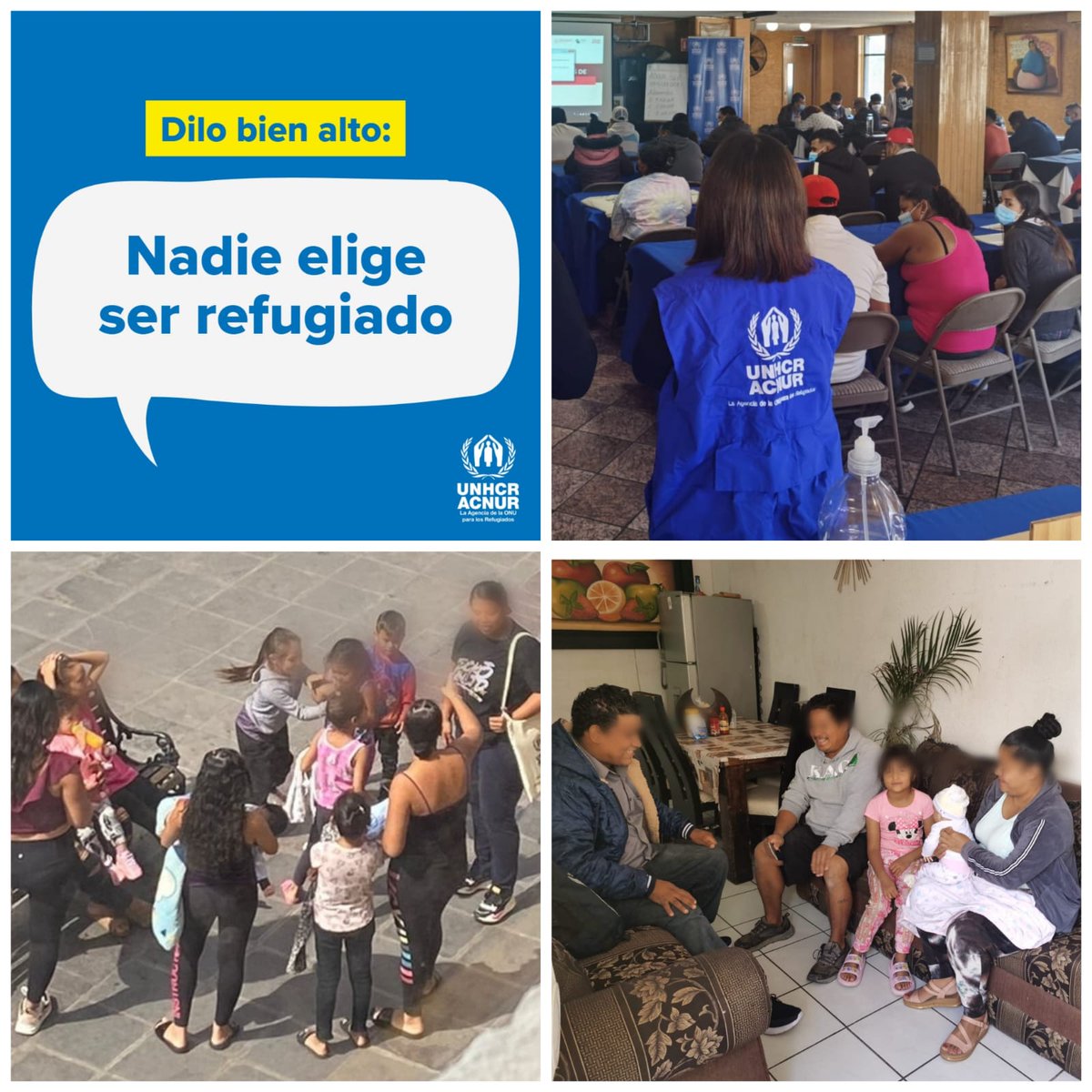 LiliaZalasar's tweet photo. En @AcnurMexico  estamos convencidos que el acceso a los derechos básicos como la educación, la salud, el trabajo formal, la recreación y la vivienda permite que las personas refugiadas y sus familias tengan procesos de integración efectivos. #SLP #ConLosRefugiados https://t.co/sM1o8dCZwa