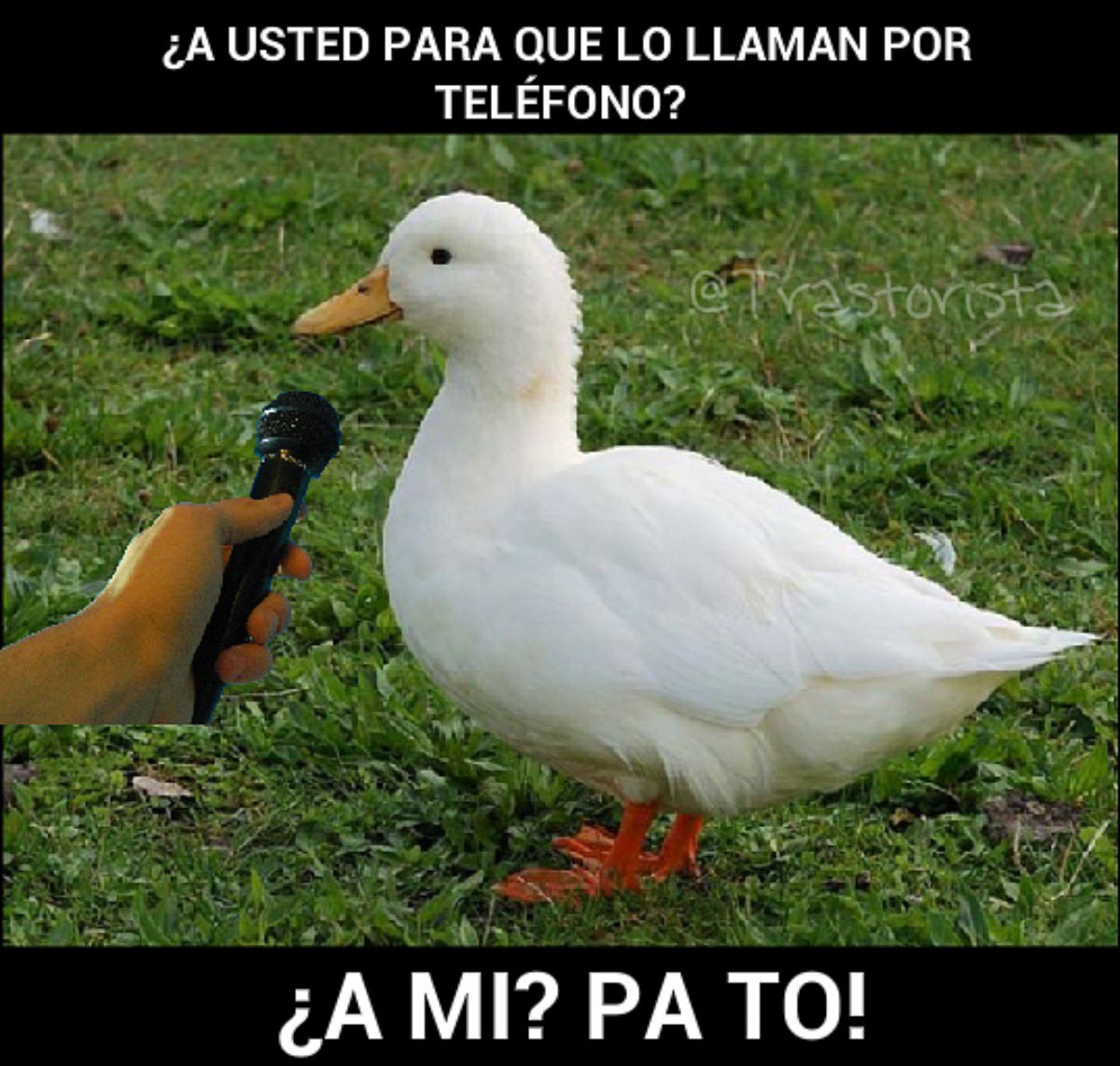 Berengario tweet media
