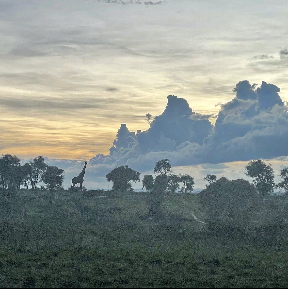 Andrew Sincock 〓〓 tweet media