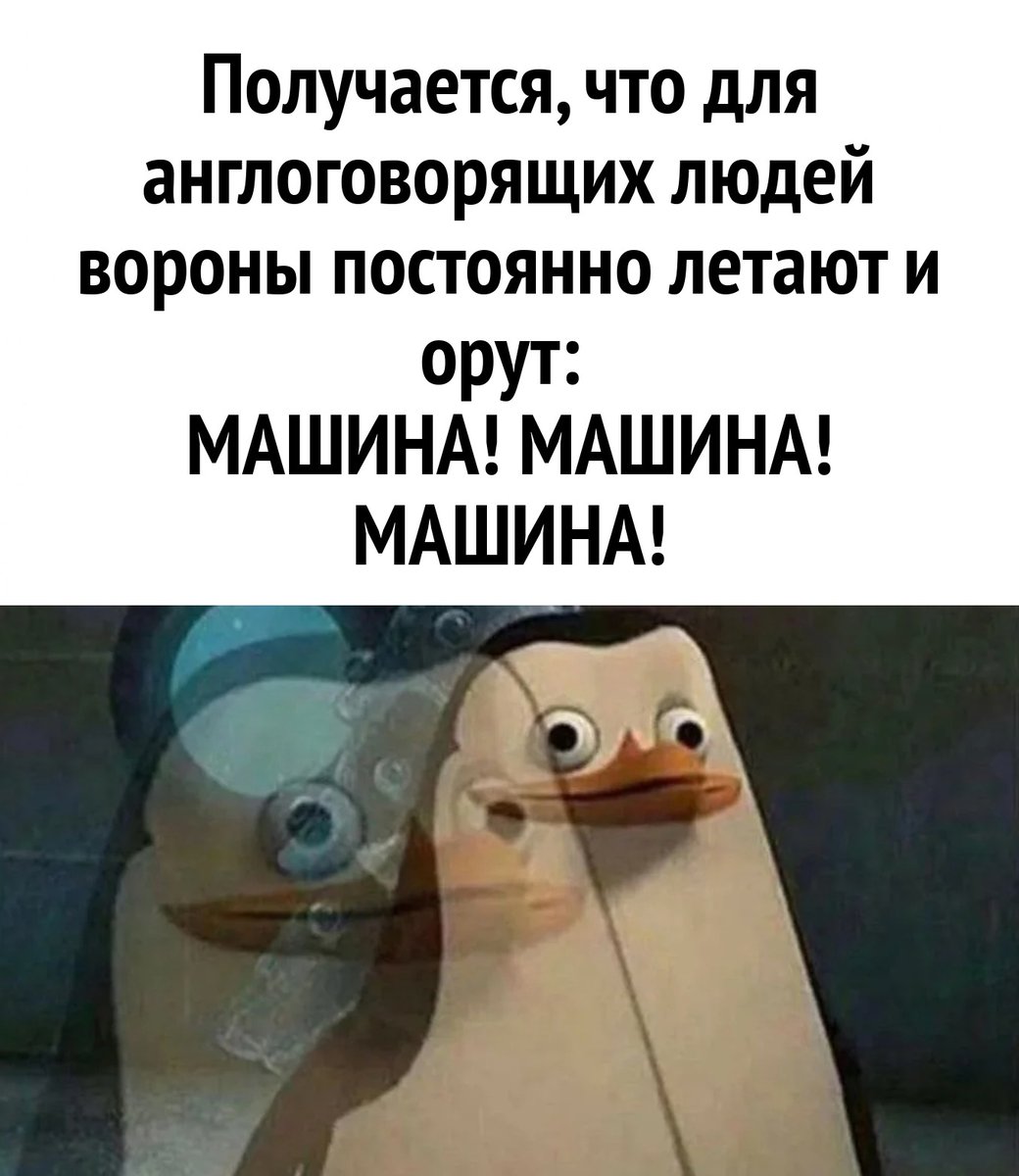 Тема для раздумий