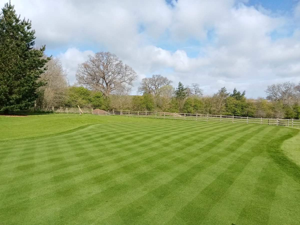 Double cut with the @DennisMowers on the new green today. Establishing really well @Inturf @grassman73
