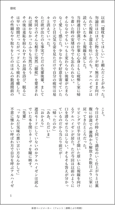 説明文(簡略) 