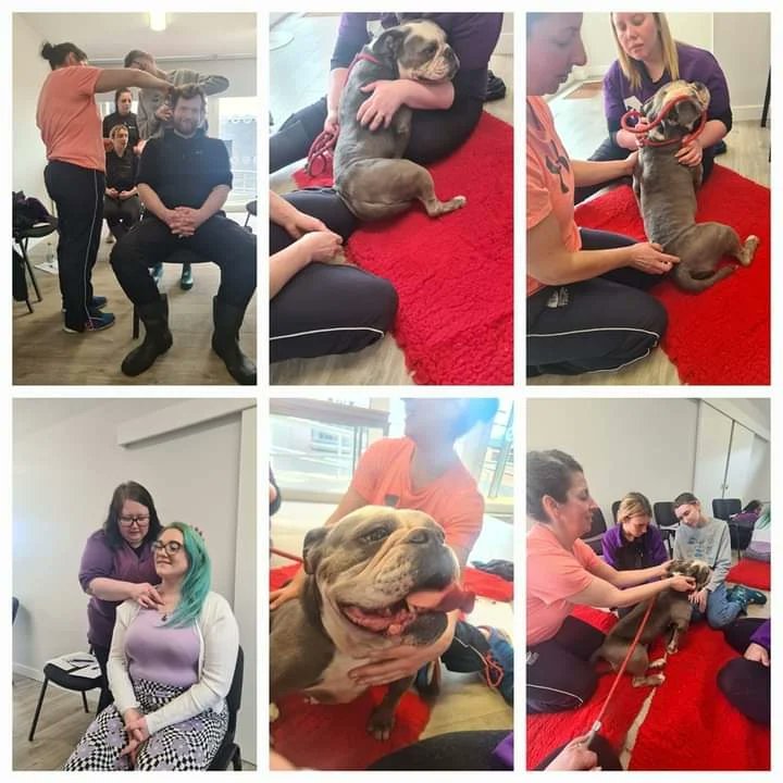 Massive thank you to Fiona & Emma from Essentially EMMETT for coming along today to show the staff how to do some EMMETT techniques 🤩 Bernadette & Amelia had the best time, and we can already see the benefits it can have on Bernadette's poorly leggies 🥰 Thank you ladies 🥰