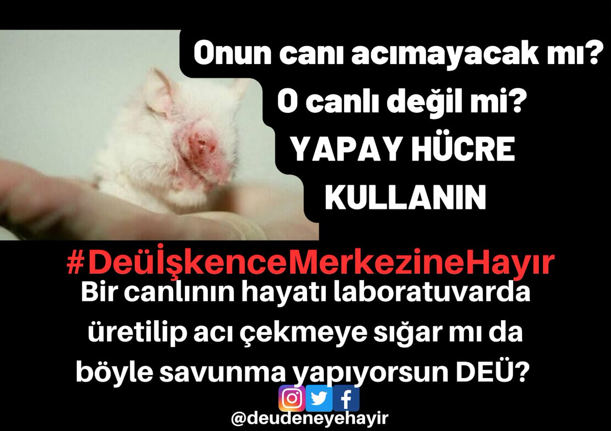 DeuDeneyeHayir's tweet photo. Dokuz Eylül Üniversitesi bizi engellemiş ve yanıtları kapatmış. Sesimizi böyle engelleyemezsiniz! Yakanızı bırakmayız demiştik! 

Böyle çağdışı bir işkence merkeziyle gündeme gelmeye utanmıyor musunuz? @hotar_nukhet @universitemDEU #DeüİşkenceMerkezineHayır https://t.co/c0NnoHuUnv