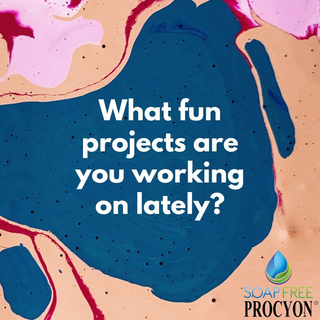 SoapFreeProcyon's tweet image. What fun green cleaning projects are you working on lately?

Share your answer in the comments.

#funprojects #comealive rfr.bz/t5o39kw