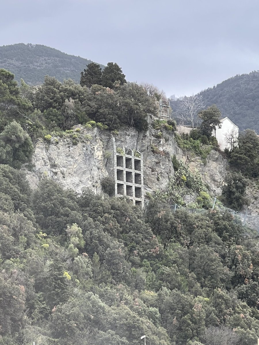 Michelle Smith tweet media