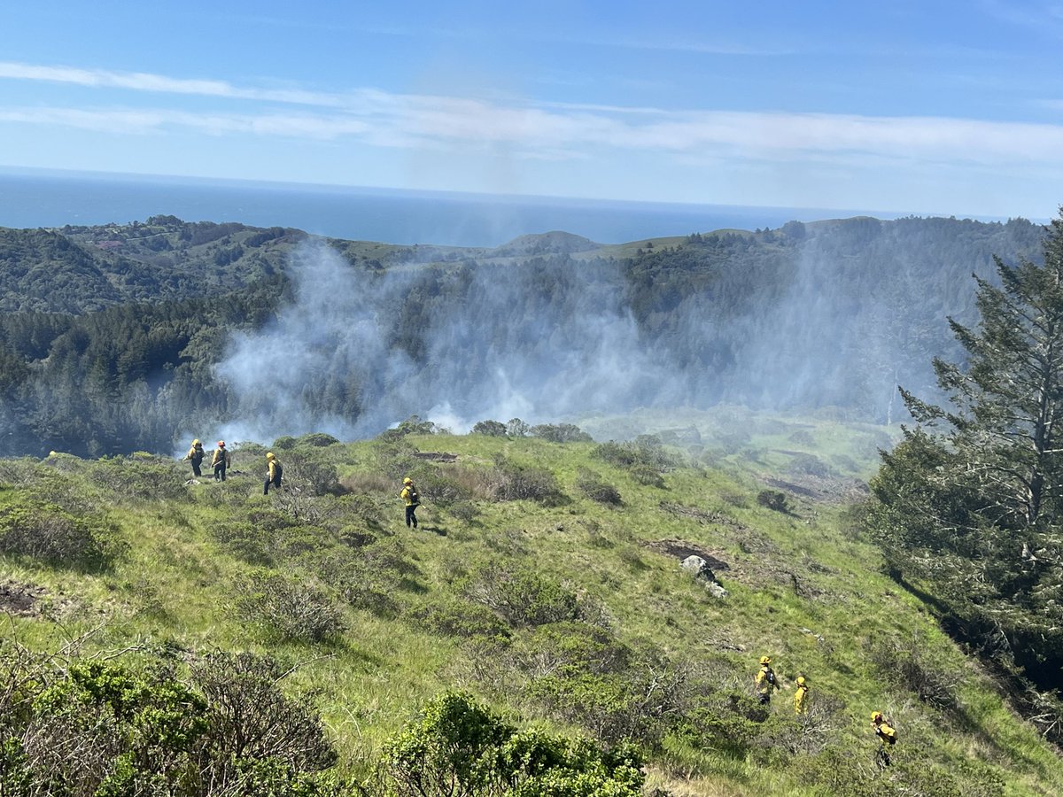 Nice to see prescribed burns in the county. Thanks Marin County Fire.