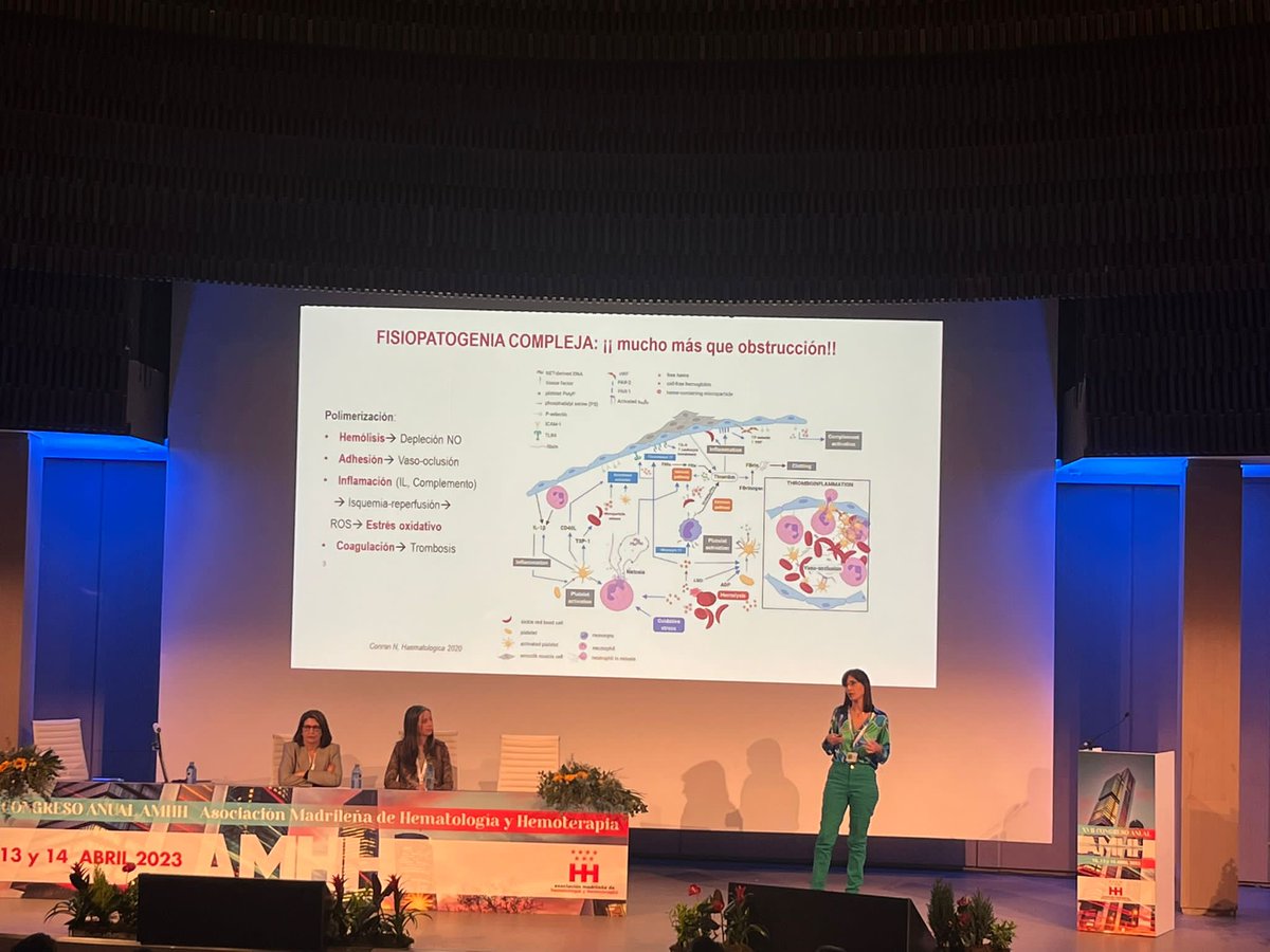 AymonSolutions's tweet image. Ponencia sobre #Eritropatología moderada por la Dra. Montserrat López Rubio del Hospital U. Príncipe de Asturias. Participa la Dra. María Argüello Marina del Hospital U. de Guadalajara y Dra. Marta Morado Arias del Hospital U. La Paz.