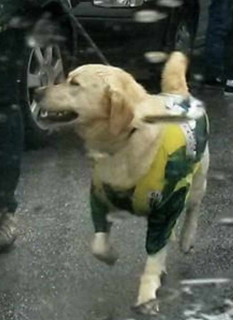 Isto é beleza em estado puro